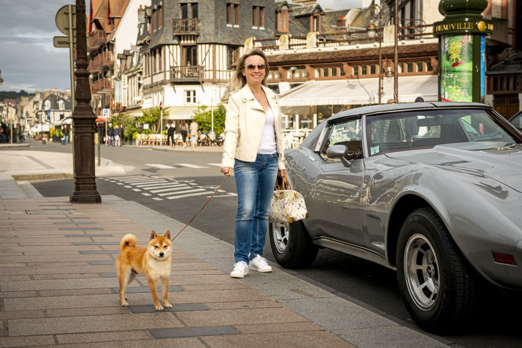 Mame shiba roux en laisse devant les façades à colombages du centre-ville