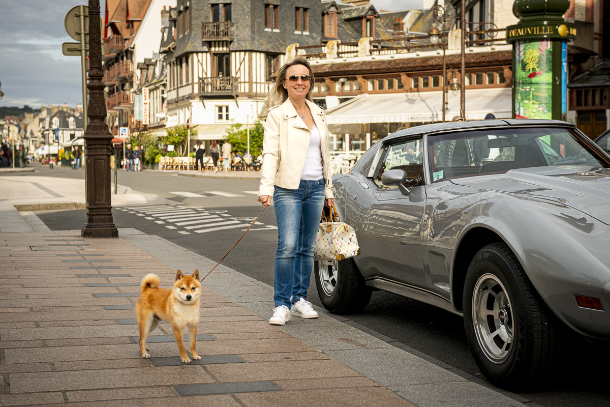 Mame shiba roux en laisse devant les façades à colombages du centre-ville