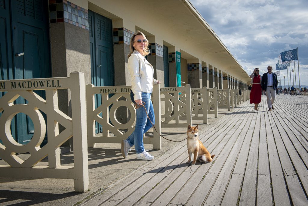 Mame shiba roux assis devant les cabines de plage en bois
