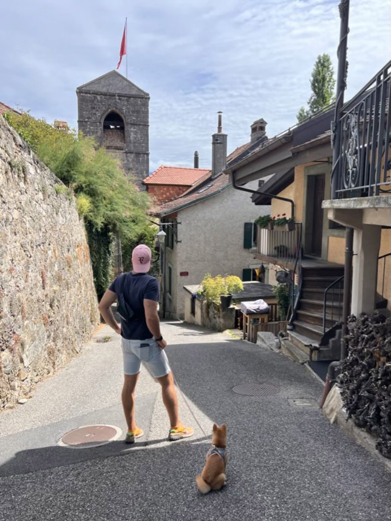Mame shiba roux assis dans une ruelle pavée, au pied d’un clocher